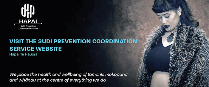 SUDI Prevention Coordination Website